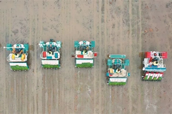 【機(jī)械化+智能化】北大荒集團(tuán)水稻插秧拉開帷幕